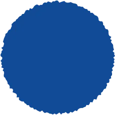 Blue badge
